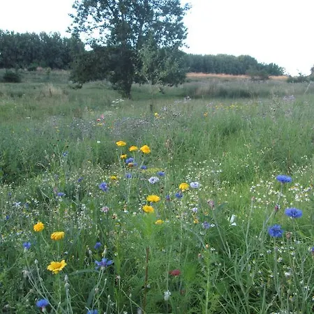Le Montagnard Quievrain